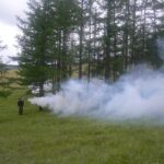 olloo_mn_1473123284_95a8233468406085original