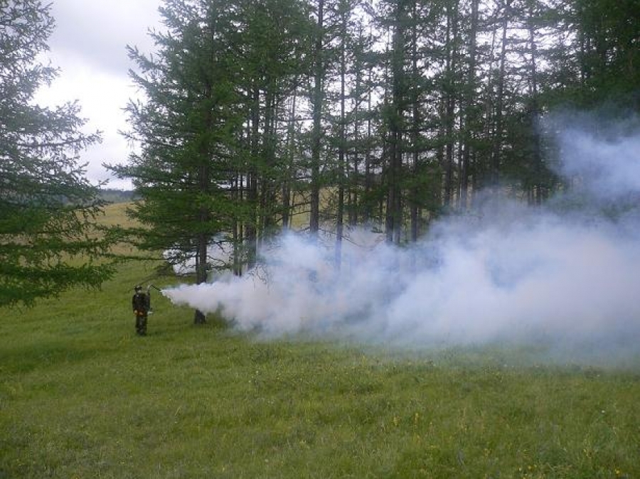 olloo_mn_1473123284_95a8233468406085original