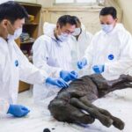 unaga2-101712-1341120317