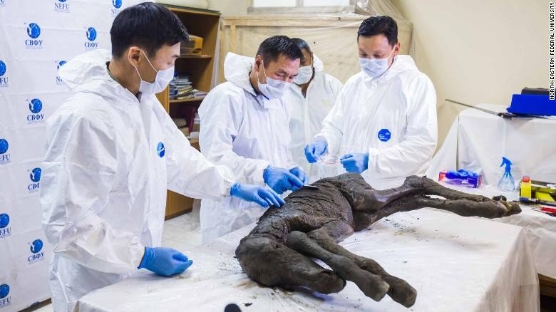 unaga2-101712-1341120317