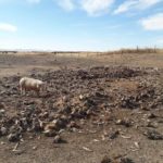 zowshoorolgui-gahain-aj-ahui-01