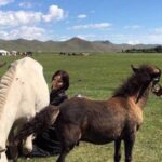 13782281_1153170554746174_6541197217113409674_n86075353201607190639