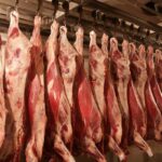 14i1rod41kjn619hss58306v0e_b