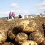 5bbd7cd77c0277.27170841