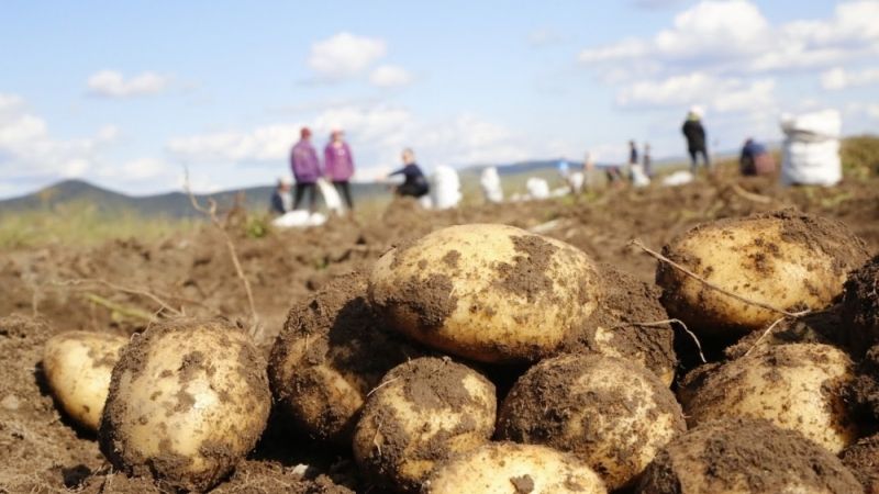 5bbd7cd77c0277.27170841