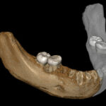 a4c856_denisov_tibet_x974