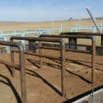 b79907008ed08b8d122ab123310af8bc_173080