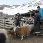 ca33e265c5dad1bf4977ab9a730fbe46