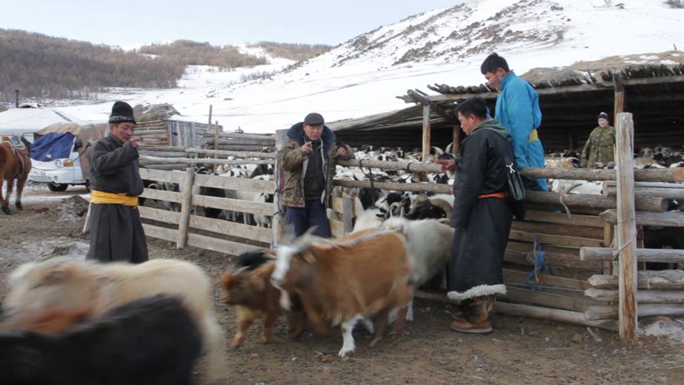 ca33e265c5dad1bf4977ab9a730fbe46