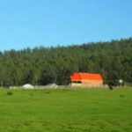 ce2835_zuslangiin-gazar_x974