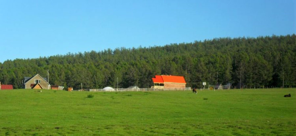 ce2835_zuslangiin-gazar_x974