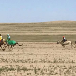 p1ciohupec1hv91jprankm4t66s3