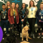 vp2r9zPWVyN3TuAdI0UB