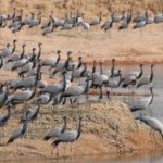 rsz_togoruu-khentii-binder-sum-01