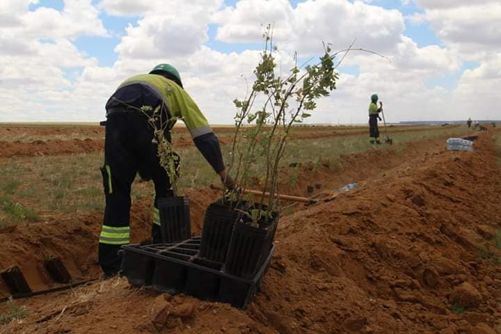 nogoon-gobi-hotolbor-02