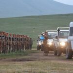 arawt-tsergiin-uraldaan-2019