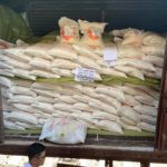 hogtsorson-tsagaan-budaa