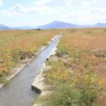 howd-uslaltiin-system