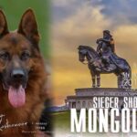 mongolian-seiger-2019