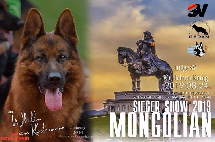 mongolian-seiger-2019