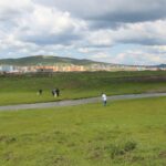 shariin-gol-hog-tsewerlew-01