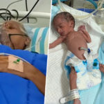 73-nastai-enetheg-eej-01