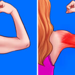 emegteileg-bie-byaldar-01