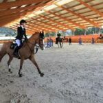 olon-ulsiin-songomol-morin-sport-2019