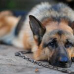 tejeever-nohoi-zaslaga