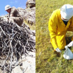 zoonoj-owchin-sudlal