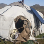 malchin-ail-baavgai-haldaw-01