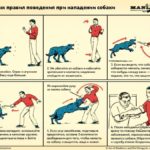 nohoi-dairwal-yah we