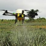 tarian-talbai-dron-01