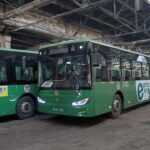 Mongold-uildwerlev-bus-01
