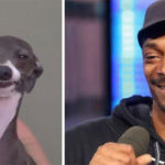 amitadtai-adilhan-odod-snoop-dogg