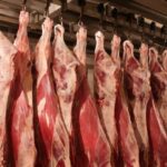 nootsiin-mah-dornogobi