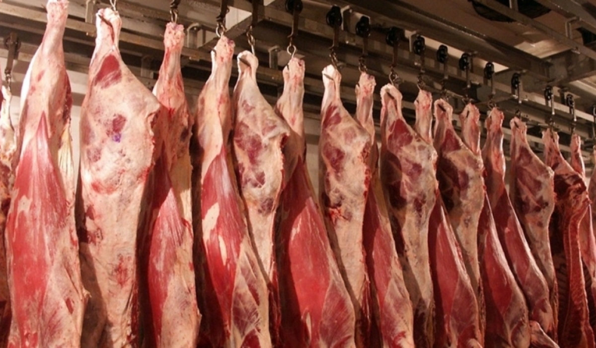 nootsiin-mah-dornogobi