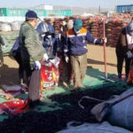 shahmal-tulsh-sawlagaa-01