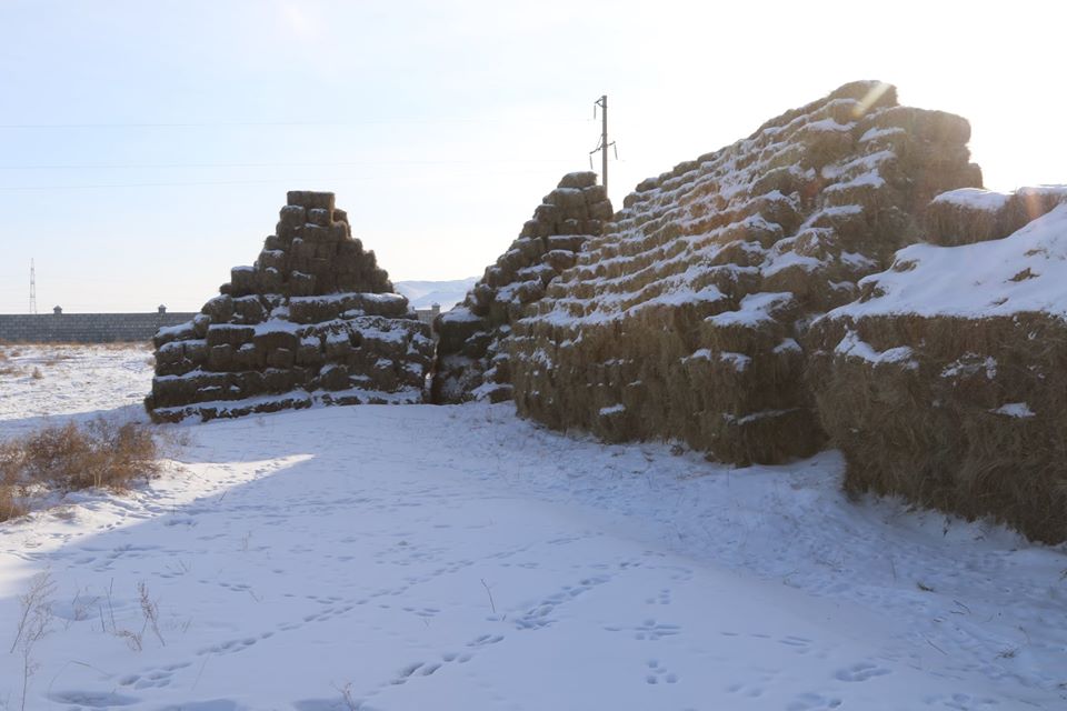 omch-hamgaalah-tow-Darkhan