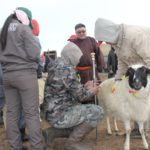 saintsagaan-omog-mal