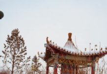 tsastai-ulaanbaatar-01