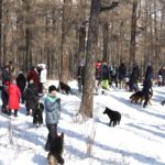 uuland-alhah-hanbogd