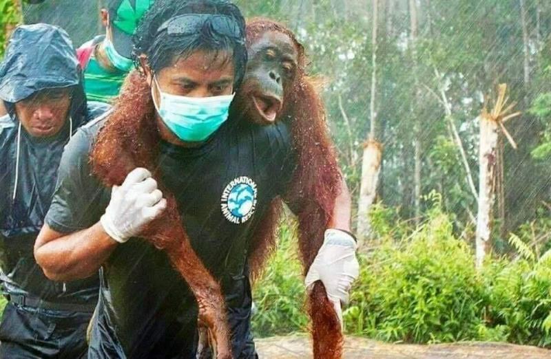 australia-gal-tuimer-04