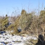 nogoon-ows-hujir-02