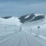 horio-tseeriin-deglem-coronavirus-01