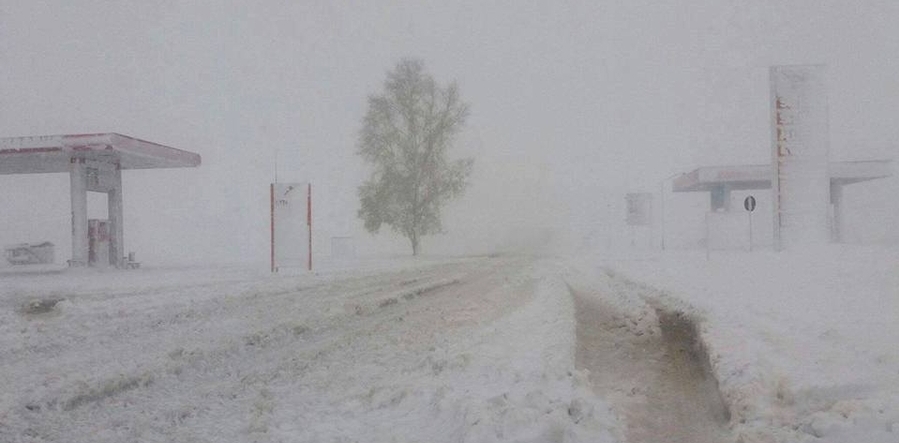 tsasan-shuurga-zuun-aimag