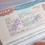 viza