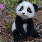 amid-met-togloom-010