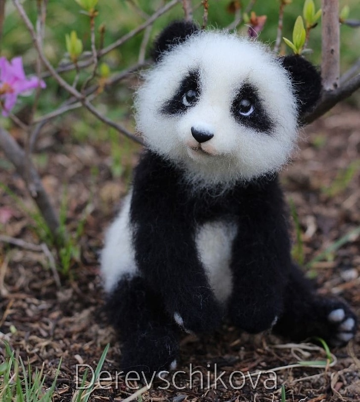 amid-met-togloom-010