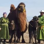 iher-botgo-gowialtai